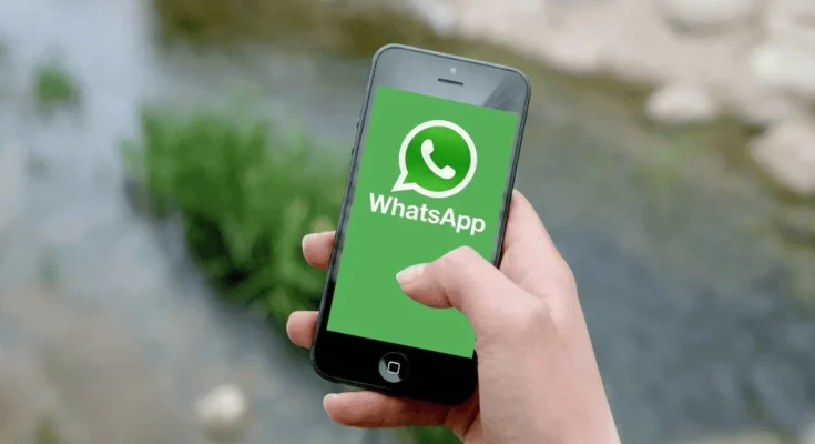 WhatsApp APK Download Latest Version Safe 2026 1 A person holding a smartphone displaying the green WhatsApp logo on the screen, with a blurred outdoor background.